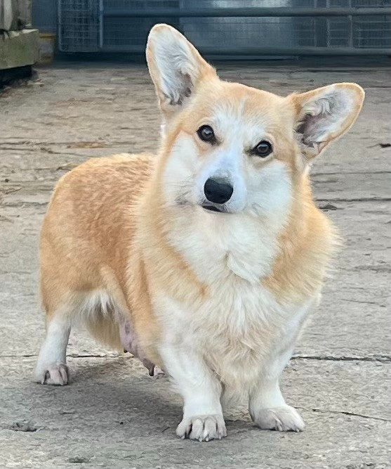 CH. THERESSE Du Domaine Pierre Quinpierre